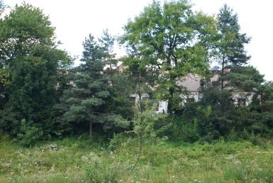 Школа - Хлиплі