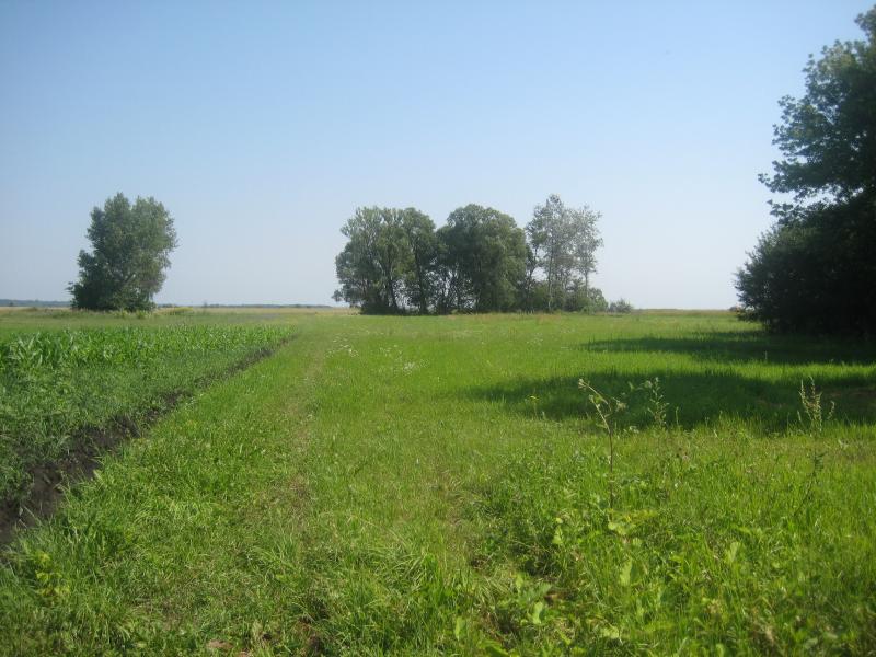 РІДНЕ СЕЛО - Данино
