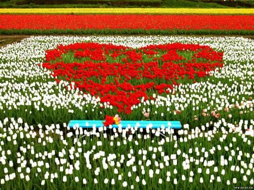 отдых в деревне) - Ушкалка