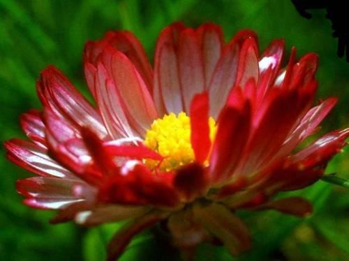 отдых в деревне) - Ушкалка