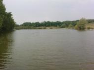 Buymer - Selected photos