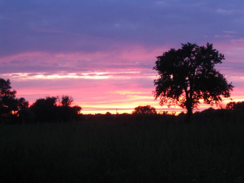 Наші фото - Великополовецьке