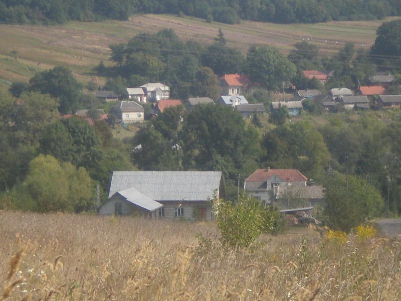 Вид с. Бориничі - Borynychi