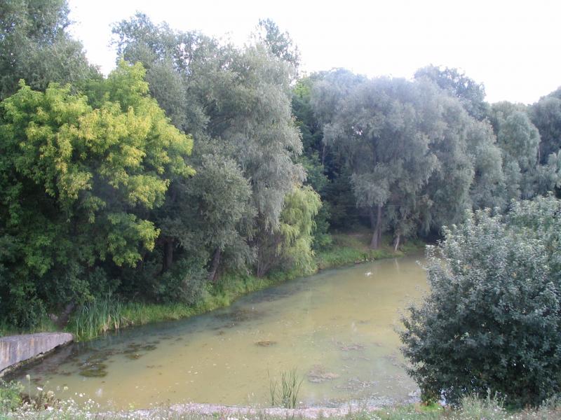 Наші фото - Великополовецкое