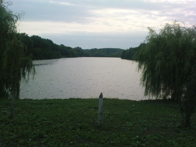 Буймер - Буймер