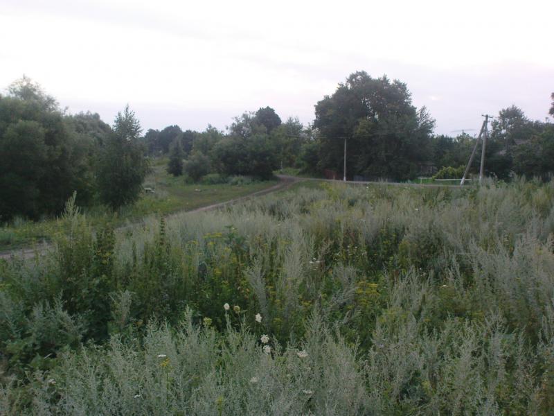 Буймер - Буймер