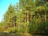 Рідне село Бродець