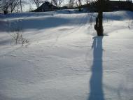 Привілля - Останні фото