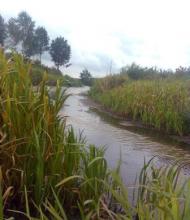 Мальовничі пейзажі Корсова