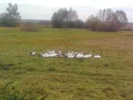 Мальовничі пейзажі Корсова