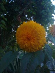 Мальовничі пейзажі Корсова