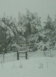 Любимое село