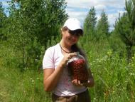 природа і відпочинок села