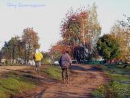 Золотые листопады