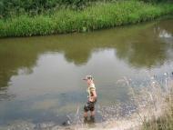 Тополівка - Обрані фото