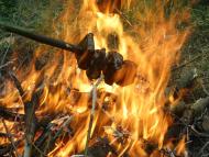 природа і відпочинок села