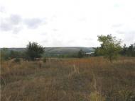 Воспоминание