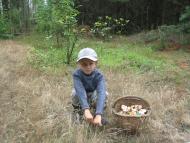 Тополівка - Обрані фото