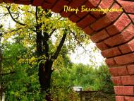 Золотые листопады