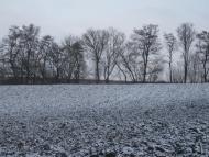 Ожарівка - Останні фото