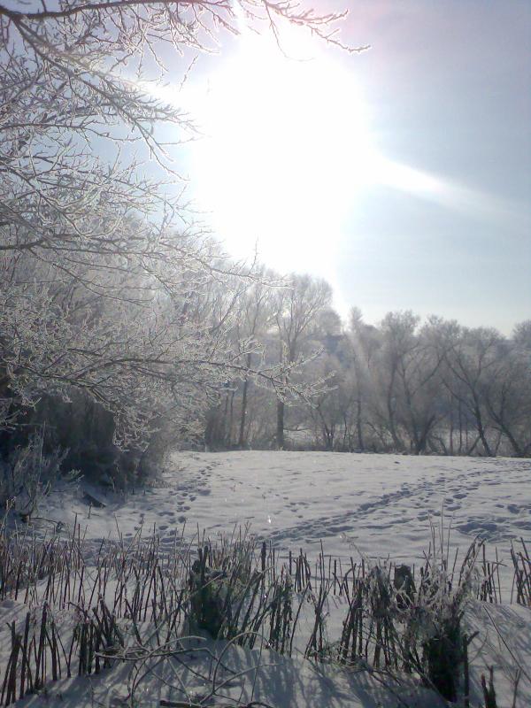 Рогачі - Рогачів