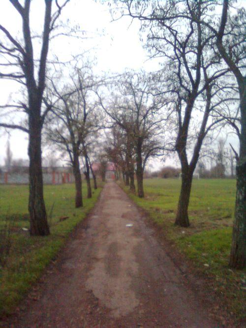 Novovoskresens'ke - Нововоскресенське