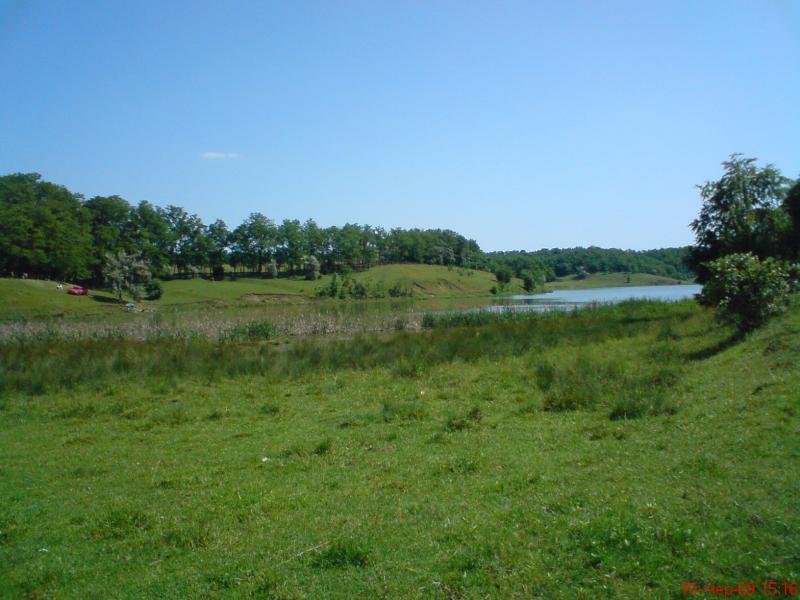 Подлесное - Підлісне