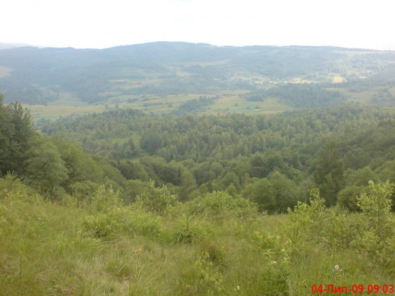 краєвид - Jamelnytsya