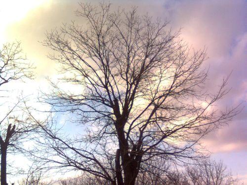 Novovoskresens'ke - Нововоскресенське