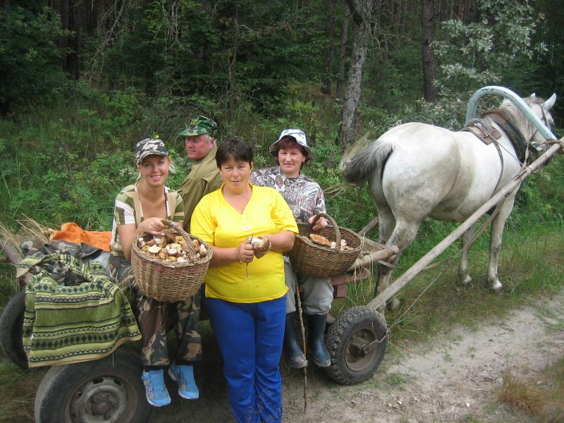 Тополевка - Тополівка