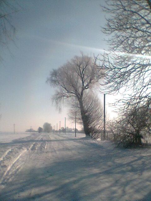 ццц - Риковичи