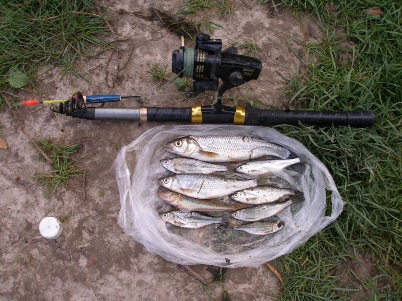 річка Серет - Шипівці