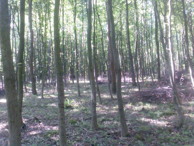 Моє село - Калагаровка