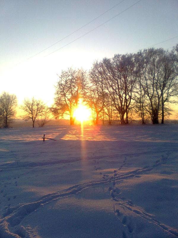 зима2010 - Losyatyn