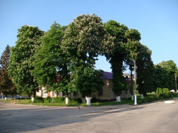 Фотографии г. Ильинцы - Іллінці