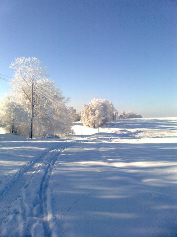 зима2010 - Losyatyn