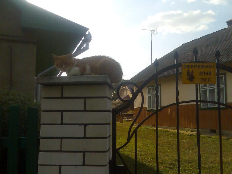 Довге-Калуське - Довге-Калуське