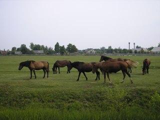 краєвид с. Выдерта - Видерта