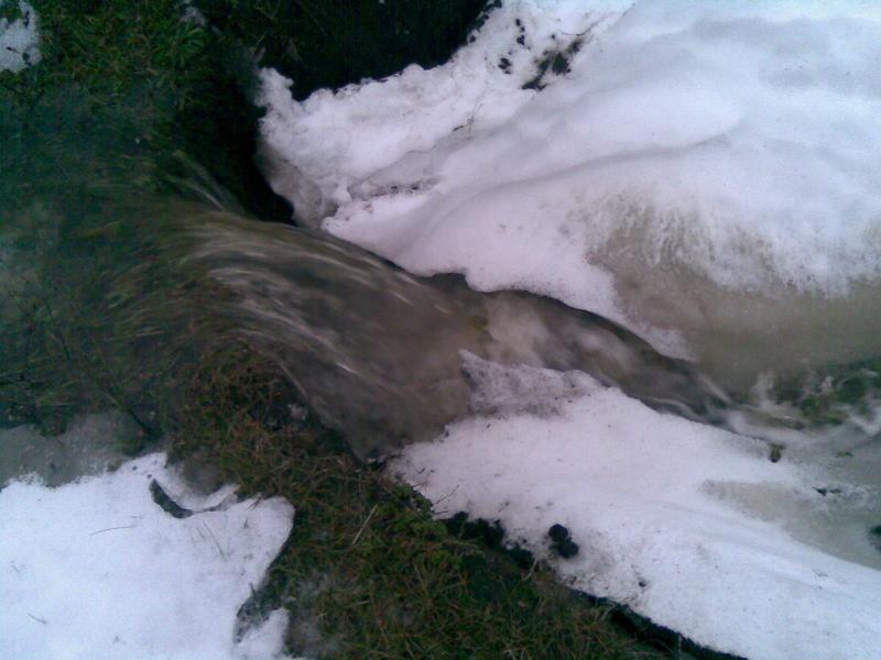 Моє - Великоселецьке