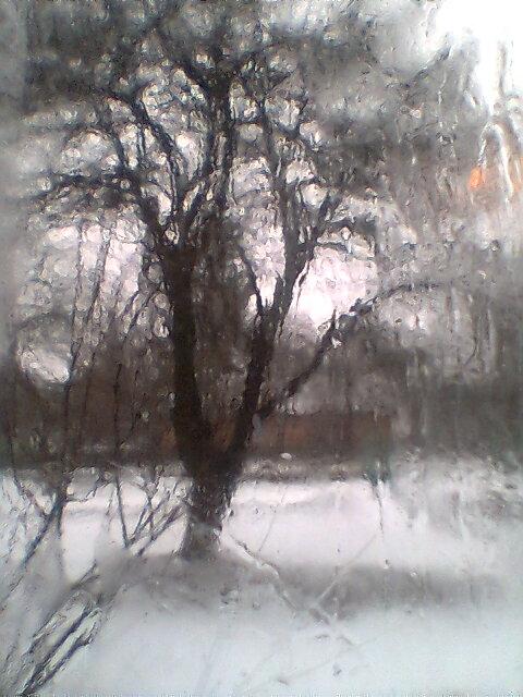 ццц - Риковичі