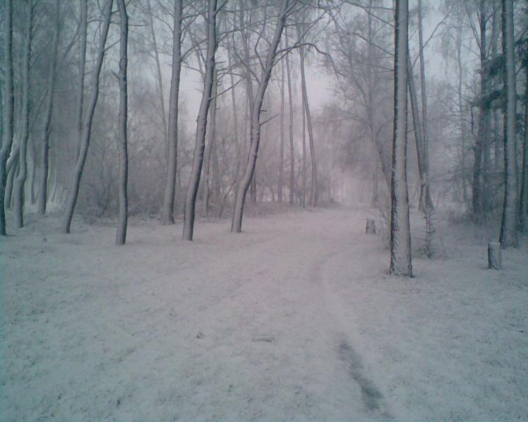 Природа - Тараски