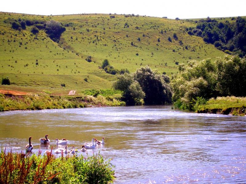 річка Серет - Шипівці