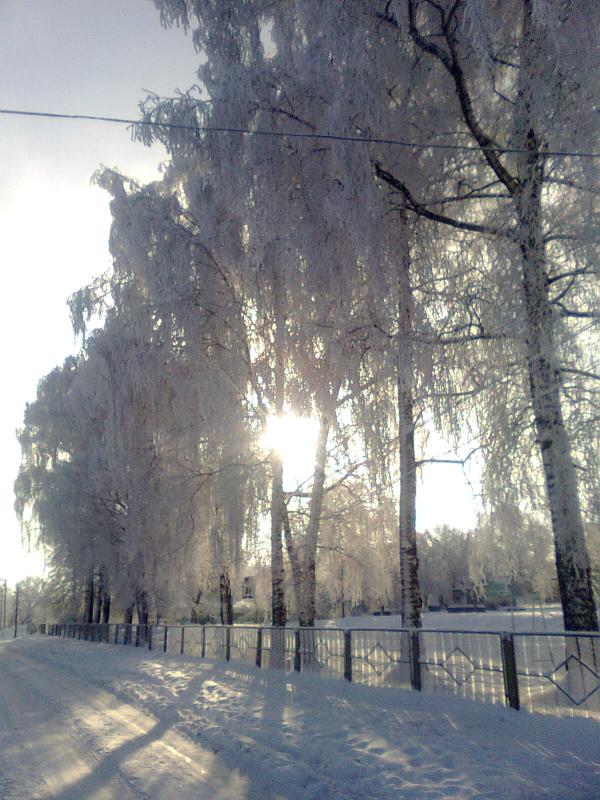 зима 2010 - Лосятин