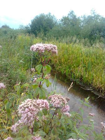 Мальовничі пейзажі Корсова - Корсов