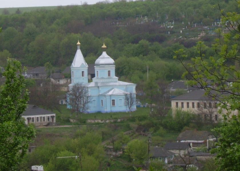 Родина - Шершенцы
