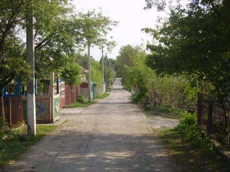 Родина - Шершенцы