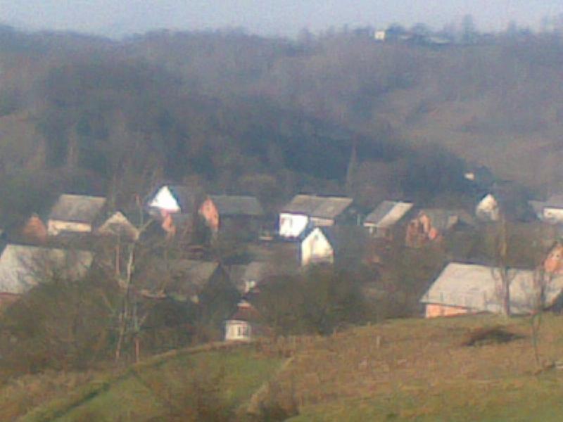 де я народився - Копашново