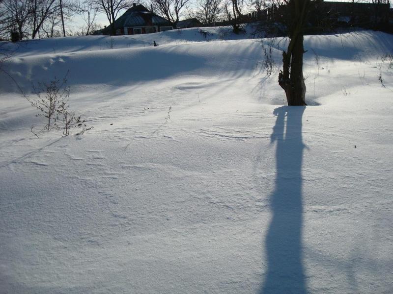 моє село - Привілля