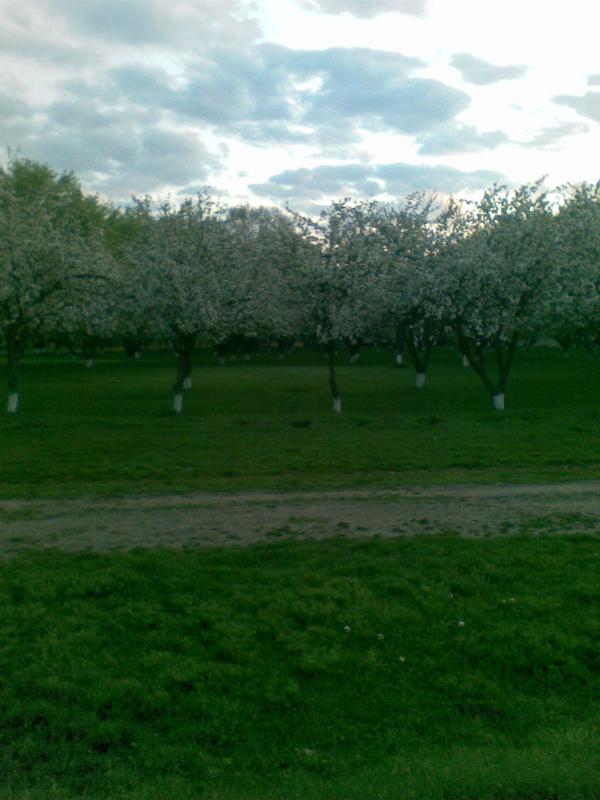Зарубинці - Зарубинці