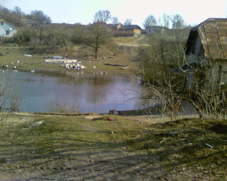 Види Боричівки - Борычевка